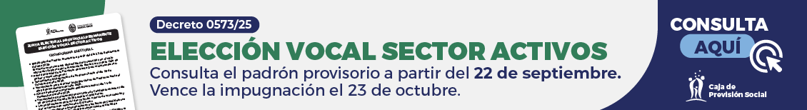 Elecciones Vocal por el Sector Activo

