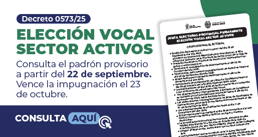 Elecciones Vocal por el Sector Activo
