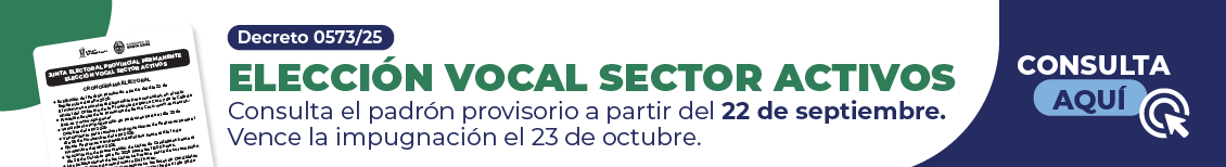 Elecciones Vocal por el Sector Activo
