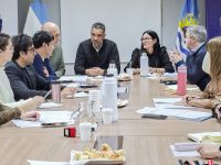 Salud mental: El Órgano de Revisión mantuvo una reunión interinstitucional en Desarrollo Social