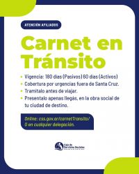 Carnet de tránsito: cómo solicitarlo y para qué sirve