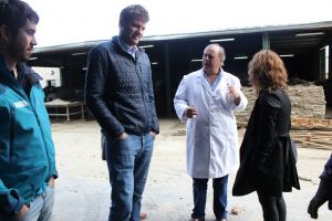 Inspección y mejoras en Frigorífico Faimali S.A.