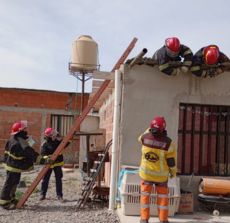 Ente provinciales respondieron demanda ante fuerte temporal de viento