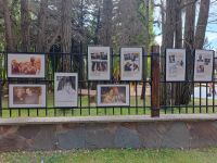 La muestra &quot;40 Años de recuperación de la democracia&quot; se expone en El Calafate