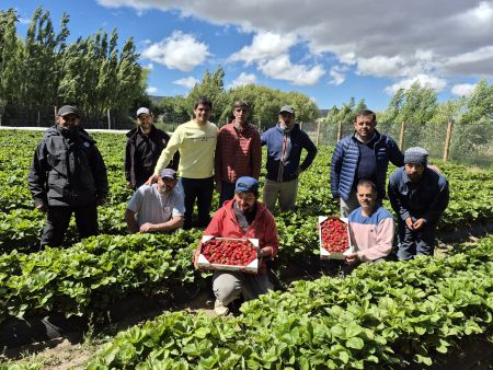 Agenda territorial: El Consejo Agrario Provincial visitó proyecto de producción de frutilla en Perito Moreno