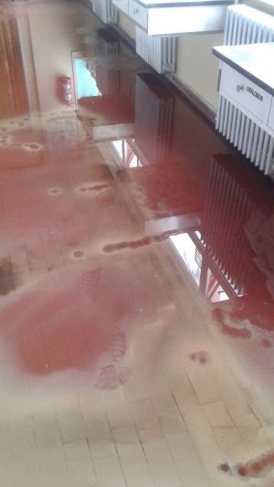 Violentaron tanques de agua y destruyeron  el sistema de electricidad del Ladvocat