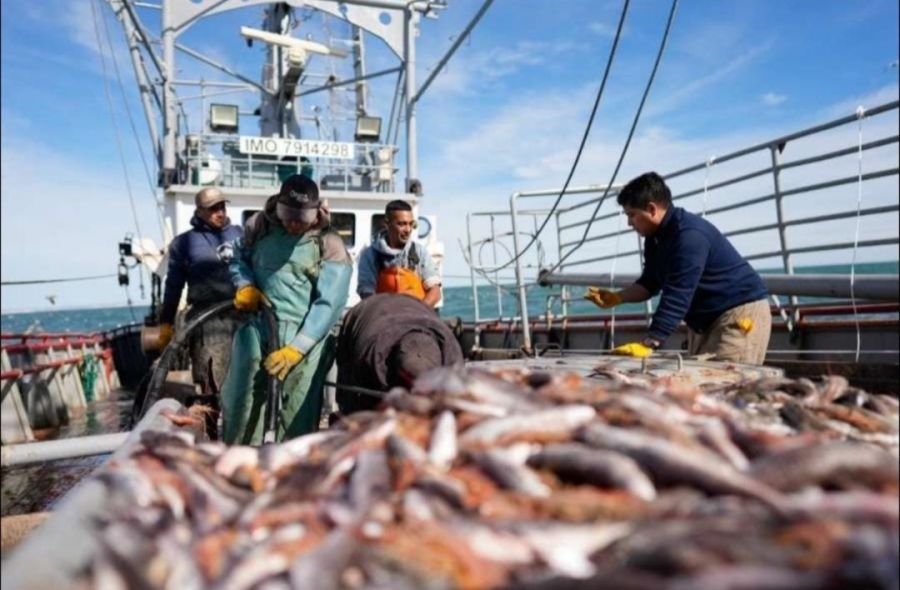 Santa Cruz solicit&oacute; ante el Consejo Federal Pesquero la apertura de las Sub&aacute;reas 15 y 16 para la pesca de langostino