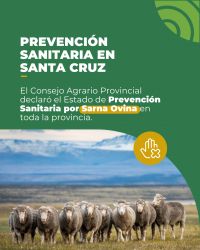 Santa Cruz refuerza la sanidad ovina y declara la emergencia agropecuaria