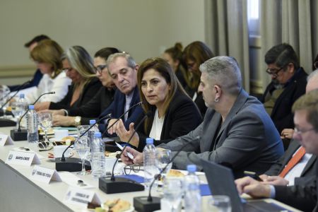 Consejo Federal de Educación: Santa Cruz participó en la presentación del Programa de Formación Docente en Alfabetización