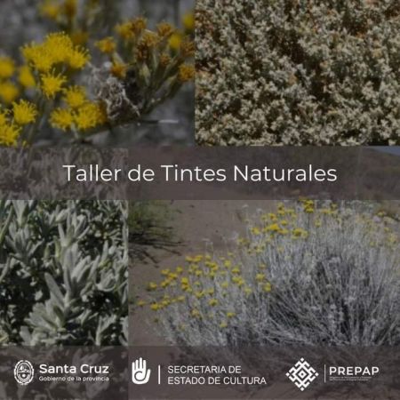 Taller de tintes naturales en el Complejo Cultural de Río Gallegos