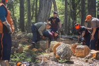 Plan Invernal 2026: continúan las tareas de acopio de leña en la Cuenca Carbonífera
