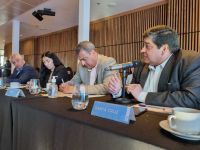 Salud participó del Consejo Federal de Salud para trabajar en el abordaje del cambio climático