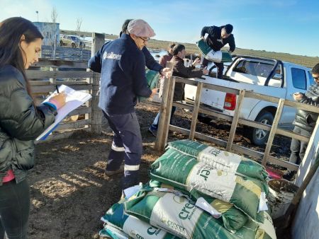 Continúa la entrega de forrajes a pequeños productores en chacras de Río Gallegos