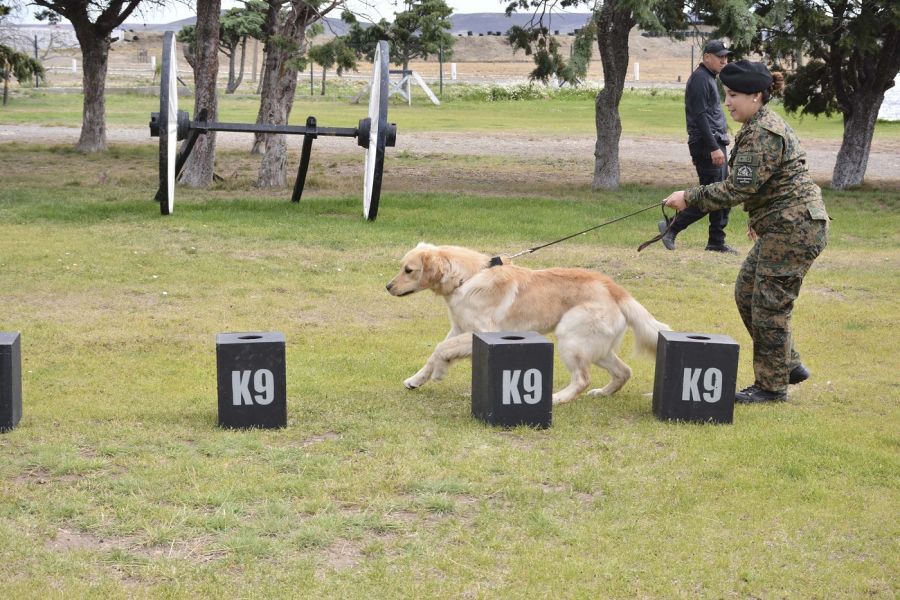#SomosElEstado: Humano y can conforman un s&oacute;lido equipo de seguridad