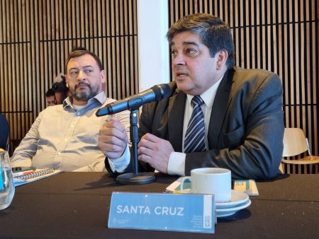 La provincia estuvo presente en una nueva reunión del Consejo Federal de Salud en Buenos Aires