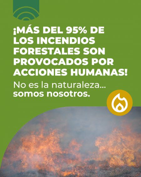 Alerta por sequía: reforzamos las medidas para prevenir incendios en Santa Cruz