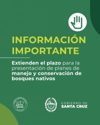 Se extiende el plazo para la presentación de planes de manejo y conservación de bosques nativos