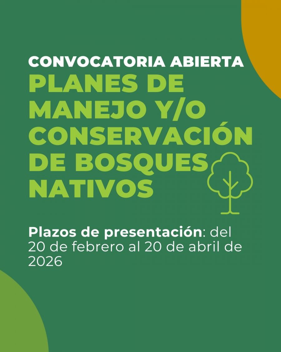 Se abre la convocatoria para la presentación de Planes de Manejo y/o Conservación de Bosques Nativos
