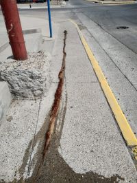 Trabajos de Mantenimiento en Caleta Olivia