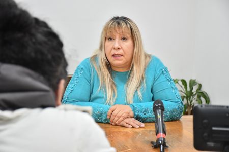 Protección Civil llama a la calma ante situación del volcán Hudson