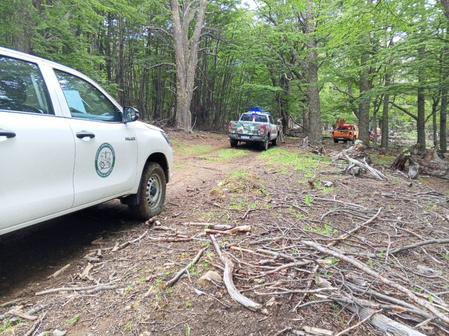 El CAP y Seguridad fortalecen fiscalización y manejo responsable de bosques nativos en Río Turbio