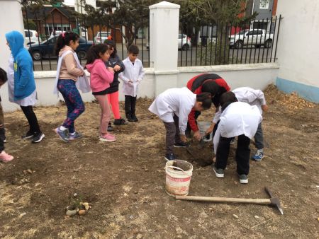 El Instituto “Dra. Elsa Barbería” lleva adelante el proyecto “Experiencia botánica”