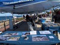 Con amplia convocatoria cerró el segundo día de la Fiesta de la Náutica y del Turismo