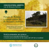 Convocatoria para presentar Planes de Manejo en Bosques Nativos de Santa Cruz