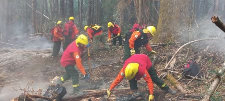 En el Día Internacional del Combatiente de Incendios Forestales se homenajea a los brigadistas
