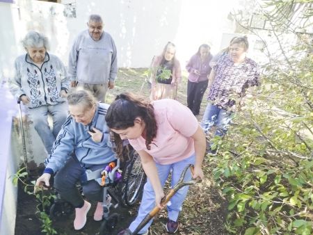 Adultos mayores de la Residencia “Dr. Braulio Zumalacarregui” impulsan jornada de forestación y cuidado ambiental