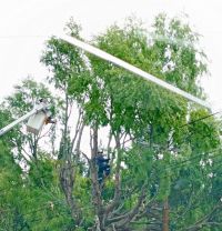 Río Gallegos: Comunicado de Servicios Públicos