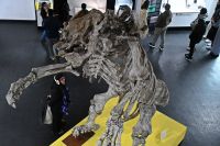 Más de 1.200 personas participaron de la Noche de los Museos en Río Gallegos