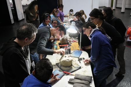 El Museo Padre Molina realizó una capacitación técnica en paleontología de vertebrados
