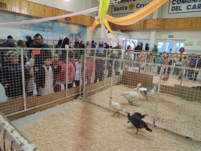 EXPO-ANIMAL en el CIC “Nuestra Señora del Carmen”