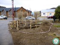 Se conmemora el “Mes del Árbol” en El Chaltén