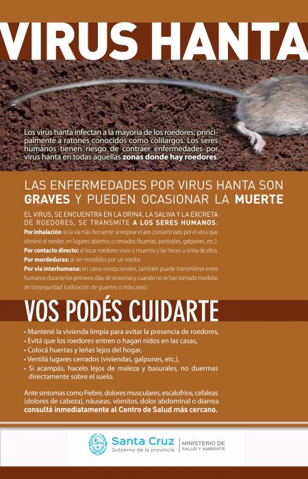 Hantavirus: Recomendaciones para personas que viajen a zonas endémicas