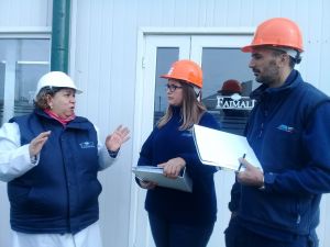Iniciaron los estudios para reducir olores en frigoríficos