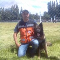 El can de servicio y su función esencial en la búsqueda de personas