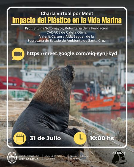 La Secretaría de Ambiente y CADACE cierran el mes de “Julio sin Plástico” con una charla virtual