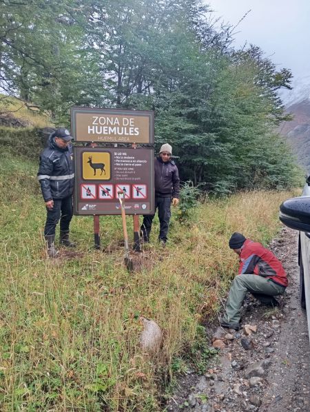 Instalación de cartelería en la Reserva Provincial Lago Del Desierto