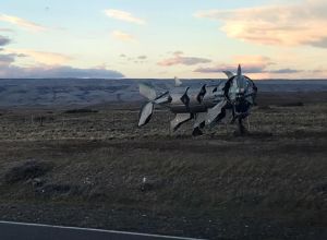 Crean un espacio cercano a El Chaltén que combina el arte y la conexión a internet