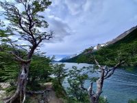 La Provincia refuerza su estrategia de Prevención de Incendios para proteger el bosque nativo