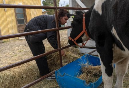 Estudiante destacó el aprendizaje en inseminación artificial y el trabajo realizado con la vaca “Victoria”