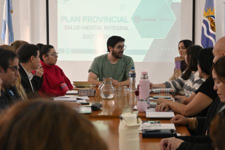 Plan estratégico de salud mental