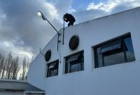 Servicios Públicos fortalece la conectividad y moderniza la infraestructura tecnológica en El Calafate