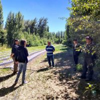 Realizan relevamientos en áreas productivas y uso del recurso hídrico en Perito Moreno y Los Antiguos