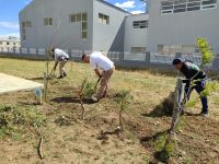 Cada día son más los que colaboran en los trabajos que se realizan en las escuelas de Santa Cruz