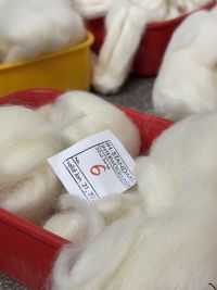 Santa Cruz fortalece el control de calidad de la lana con estándares internacionales