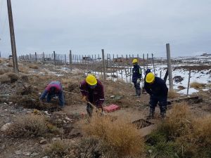 Servicios Públicos concretó tareas de reparación en Las Heras