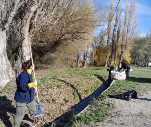 Avanzan las obras de limpieza y ampliación de canales en Perito Moreno con mano de obra local